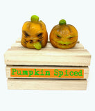Jack and Jill Mini Pumpkins 2 Pack *Pumpkin Spiced*