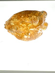 Gold Flake Bay Test Pull