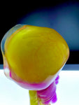 Wario Dreamin' Purple & Yellow Double Cast XL Dreamer